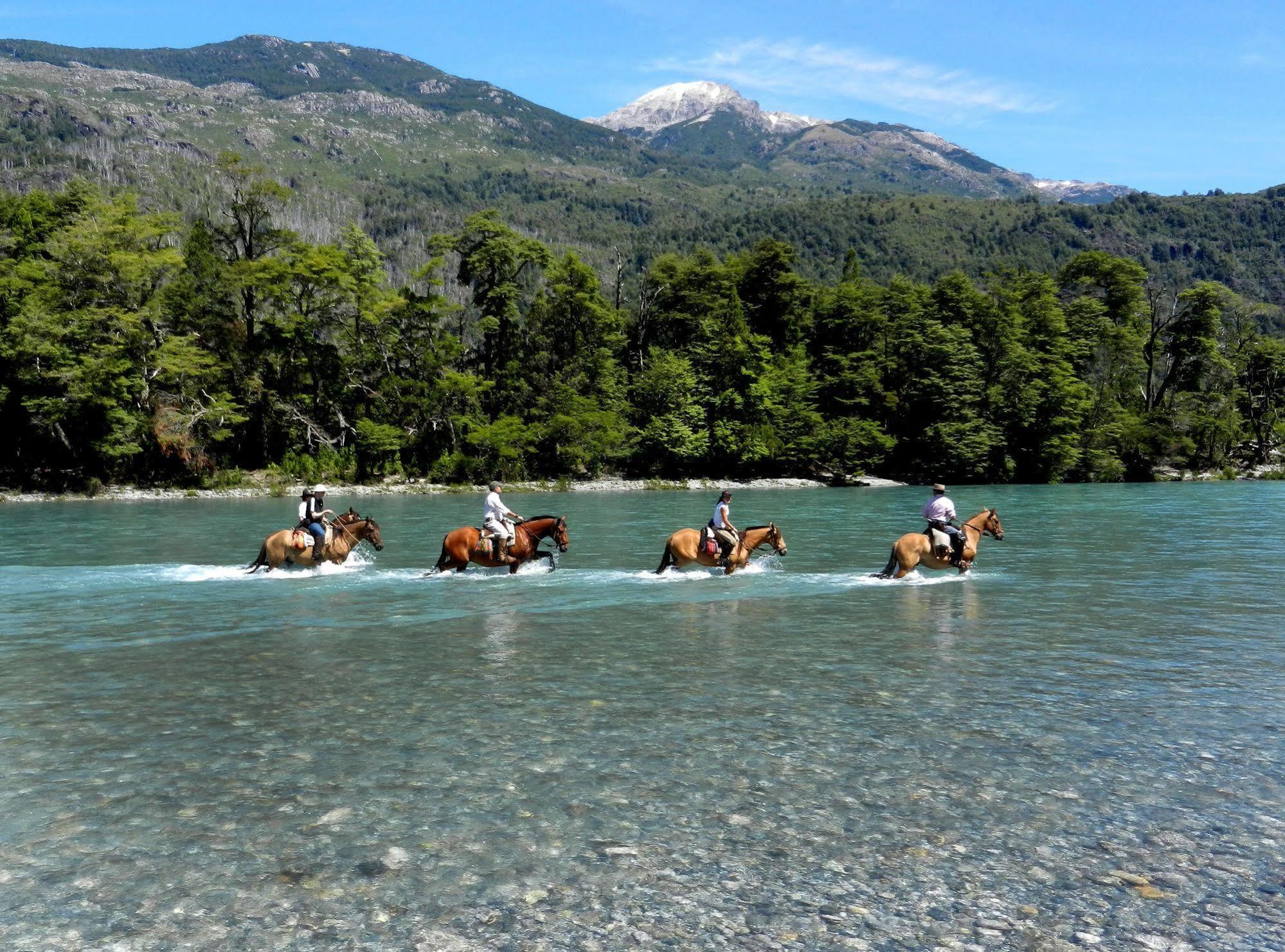 Mitico Puelo Lodge Las Gualas Eksteriør billede